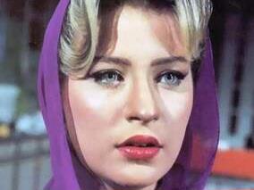 شيرين سيف النصر " حسناء التسعينيات" التي رحلت في هدوء