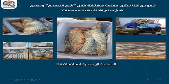 تموين قنا: ضبط 21 محضرا متنوعاً وكميات من الأسماك المملحة غير الصالحة للاستهلاك الآدمي