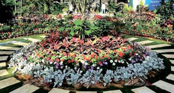 مدير المتحف الزراعي: انطلاق الدورة 93 لمعرض الزهور بمشاركة واسعة