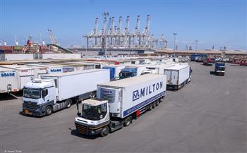 النقل: تواصل تدفق شحنات الترانزيت عبر خط "الرورو" بميناء دمياط 