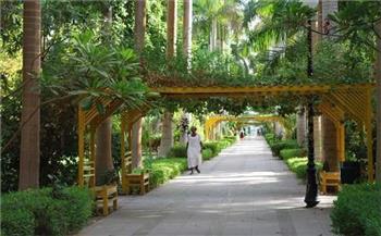 جزيرة «النبـاتــــات»..  السحر والجمال فى أسوان