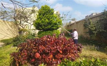 حراك تنفيذي بأحياء بورسعيد ومدينة بورفؤاد لاستقبال أعياد الربيع وشم النسيم 