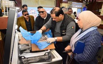 ضبط كميات من الأسماك الفاسدة ومواد غذائية منتهية الصلاحية ببورفؤاد