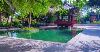 الحديقة الدولية تستقبل أعدادا كبيرة من الزوار في شم النسيم