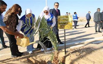 خطة الحكومة لمواجهة التلوث وتجميل المدن..  عودة الخضرة