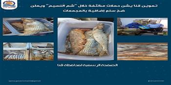 تموين قنا: ضبط 21 محضرا متنوعاً وكميات من الأسماك المملحة غير الصالحة للاستهلاك الآدمي