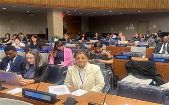 مصر تستعرض جهودها في مواجهة التحديات السكانية أمام الأمم المتحدة