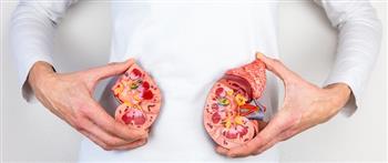 تجنب هذه الأطعمة لصحة الكلى