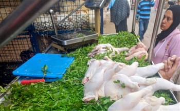 إدارة شئون البيئة بالشرقية تحرير (٧٩) محضراً  وتعدم (١٤٤٠) كجم أغذية فاسدة خلال حملات تفتيشية 