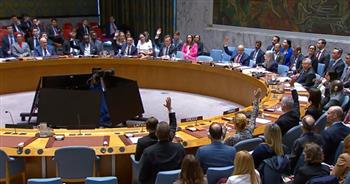 مجلس الأمن يمدد نظام العقوبات على ليبيا حتى 2027 ويقر استثناءات محدودة للأصول وحظر السلاح