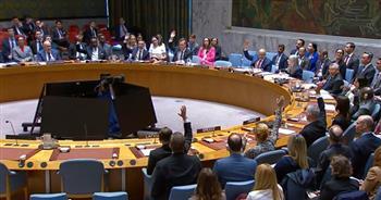 مجلس الأمن يمدد نظام العقوبات على ليبيا حتى 2027 ويقر استثناءات محدودة للأصول وحظر السلاح