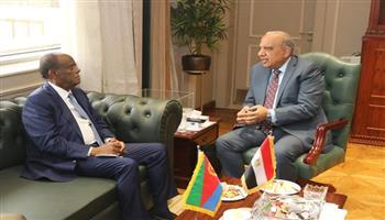 «الكهرباء»: إنشاء محطات شمسية في إريتريا ضمن خطة تعاون مشترك مع مصر