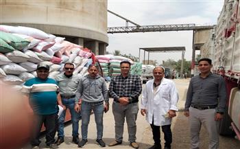 2500 جنيه للأردب.. إنطلاق موسم توريد القمح بسوهاج وصرف المستحقات خلال 48 ساعة