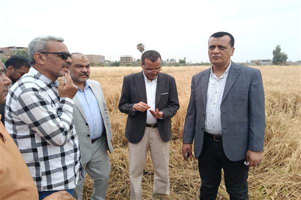 وكيل تعليم سوهاج يتابع استعدادات حصاد القمح بمزرعة الثانوية الزراعية 