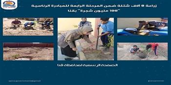  زراعة 8 آلاف شتلة ضمن المرحلة الرابعة للمبادرة الرئاسية "100 مليون شجرة" بقنا
