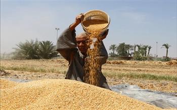 "تموين الدقهلية": 36 موقعًا تخزينيًا جاهزًا لاستقبال القمح المورد اعتبارًا من اليوم  