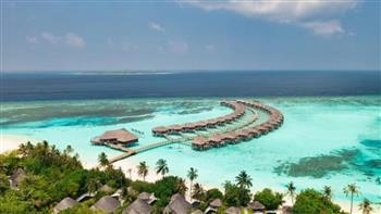 التهم قدم العريس.. قرش يحوّل شهر عسل إلى كابوس