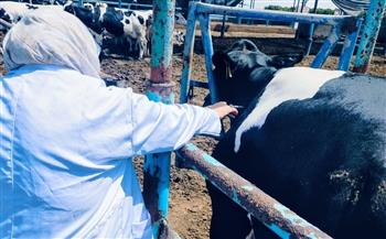 بيطري الشرقية ينتهى من فحص ١٢٠١ رأس ماشية ضد البروسيلا و  ٩٢١ رأس ماشية ضد السل البقرى 