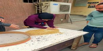 محافظ الدقهلية يعلن انطلاق موسم الحصاد وجاهزية 36 موقعًا لاستقبال القمح