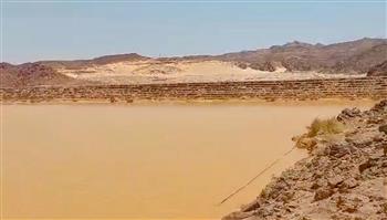 وزير الموارد المائية والري يتابع موقف الأمطار الغزيرة والسيول التي تعرضت لها محافظة جنوب سيناء