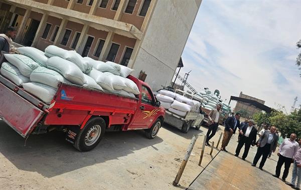 تموين الأقصر تتسلم ١٥٢.٢ طن من الأقماح خلال ٤٨ ساعة داخل مواقع تخزين القمح المحلى 