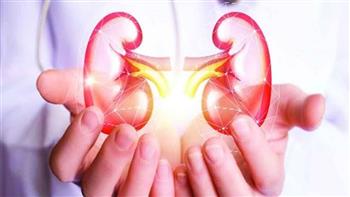 بروتين غريب يدمر الكلى