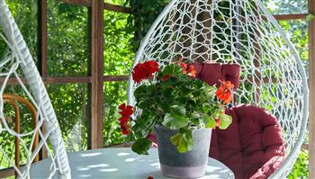 لربات البيوت.. أفكار لتجديد الشرفة بلمسة صيفية منعشة