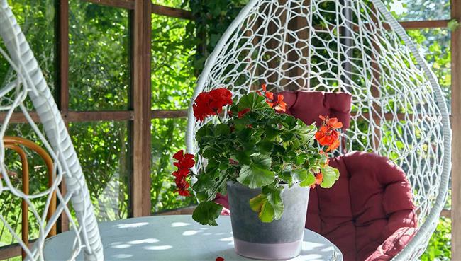 لربات البيوت.. أفكار لتجديد الشرفة بلمسة صيفية منعشة