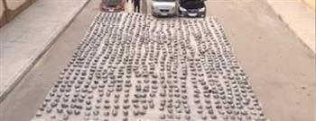 ضربة أمنية كبرى.. إحباط تهريب 2.5 طن مخدرات بقيمة 175 مليون جنيه بالسويس