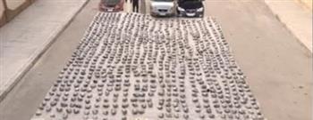 ضربة أمنية كبرى.. إحباط تهريب 2.5 طن مخدرات بقيمة 175 مليون جنيه بالسويس