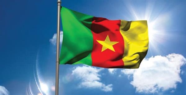 الكاميرون تشدد الرقابة على قطاع الذهب قبل استئناف الأنشطة التعدينية 