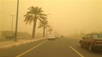 مع رياح الخماسين.. كيف تحمي أفراد أسرتك من آثار التقلبات الجوية؟.. استشارية مناعة توضح