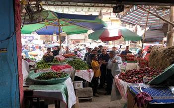 محافظ الدقهلية: توفير سلع ومنتجات متنوعة بأسعار مخفضة وجودة عالية