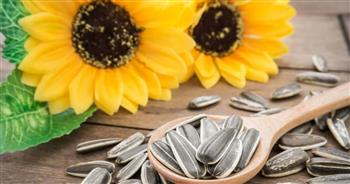فوائد بذور عباد الشمس