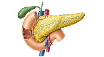 نصائح للحفاظ على صحة البنكرياس