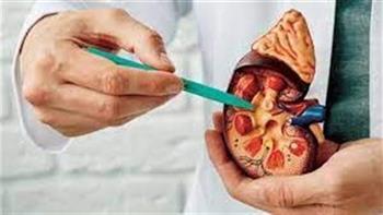 كيف تتخلص من حصوات الكلى