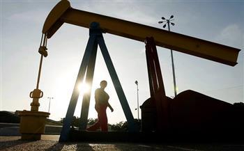 شبكة "بريكس": اقتصاد زيمبابوي يسجل نموًا بنسبة 7.5% في 2025 بفضل قطاع التعدين