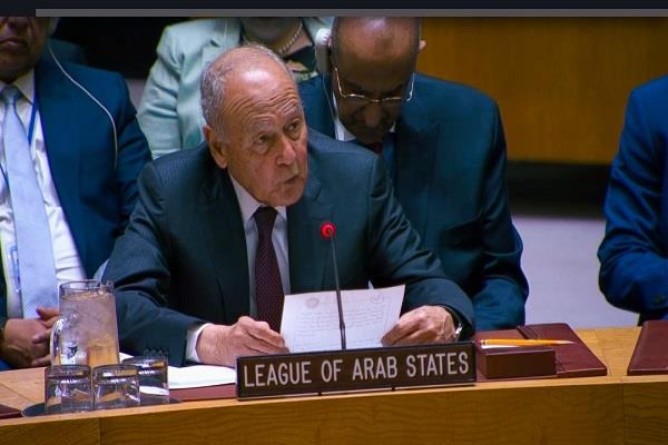 أبو الغيط: التعاون بين الجامعة العربية ومجلس الأمن ضرورة استراتيجية