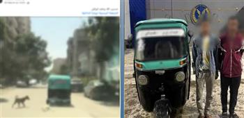 القبض على سائق "توك توك" وحارس عقار لتورطهما في ربط كلب نافق بالمركبة بالقاهرة