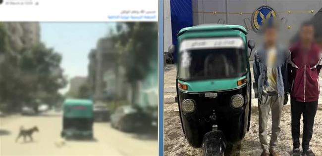 القبض على سائق "توك توك" وحارس عقار لتورطهما في ربط كلب نافق بالمركبة بالقاهرة