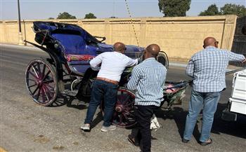 مواصلة تنفيذ حملات التحفظ على عربات الحنطور المخالفة في مدينة الأقصر