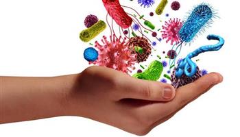 بهذه الطرق عزز البكتيريا النافعة في الأمعاء