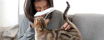 لمرضى حساسية الصدر نصائح للتعامل مع  حيوانك الأليف