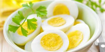 لصحة أفضل البيض مصدر هام للحديد