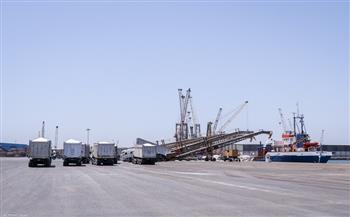 تداول 26 سفينة حاويات وبضائع عامة بميناء دمياط