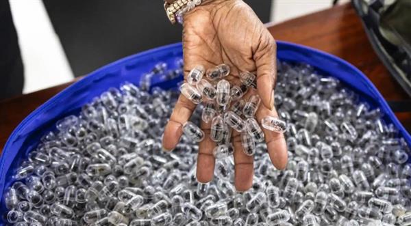 كينيا.. سجن وغرامة كبيرة لصيني هرّب 2200 نملة 