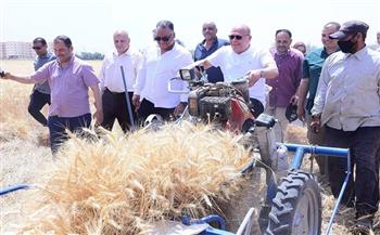 رئيس جامعة سوهاج يشهد بدء موسم حصاد القمح بمزرعة الجامعة على مساحة 20 فدان