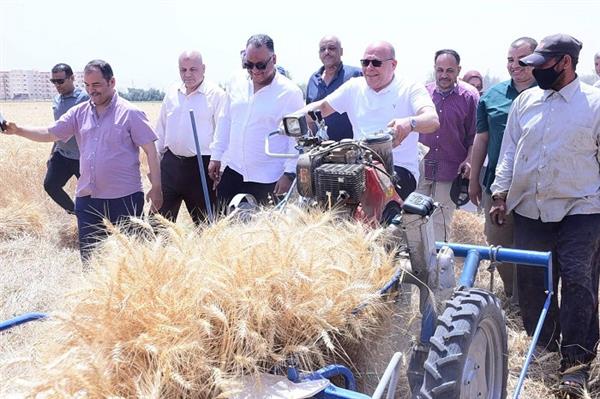 رئيس جامعة سوهاج يشهد بدء موسم حصاد القمح بمزرعة الجامعة على مساحة 20 فدان 