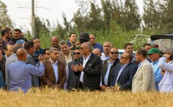 محافظ كفرالشيخ يطلق موسم حصاد القمح من حقول قرية نصرة 
