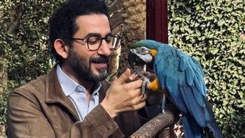 أحمد حلمي بإطلالة كاجوال من حديقة ويثير تفاعل جمهوره بصورة مع ببغاء